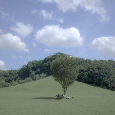 开元棋脾下载手机版